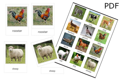 12 Farm Animals 3-Part Cards (PDF)