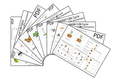 Set of 9 Life Cycle 3-Part Cards & Worksheets (PDF)