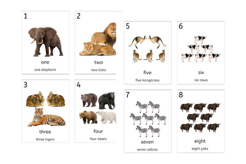 Animal Number Cards 1-20 (Small, PDF)