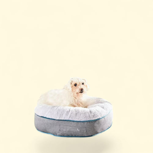 Allswell Pet Bed, Round, Premium
