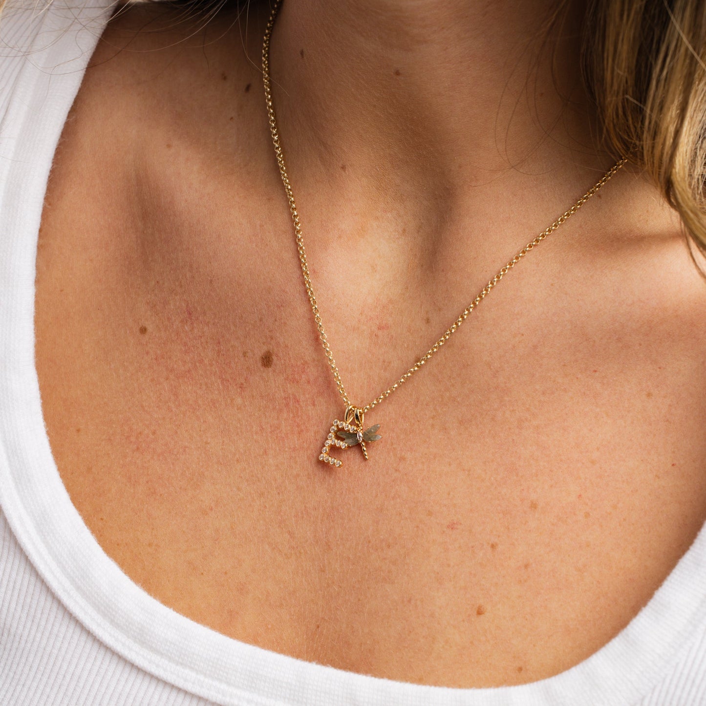 CZ Poppy Initial X Charm
